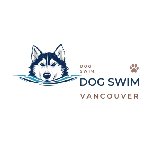 Dog Swin and Dog daycare Vancouver